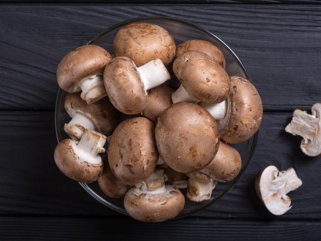 Magic mushroom dispensary