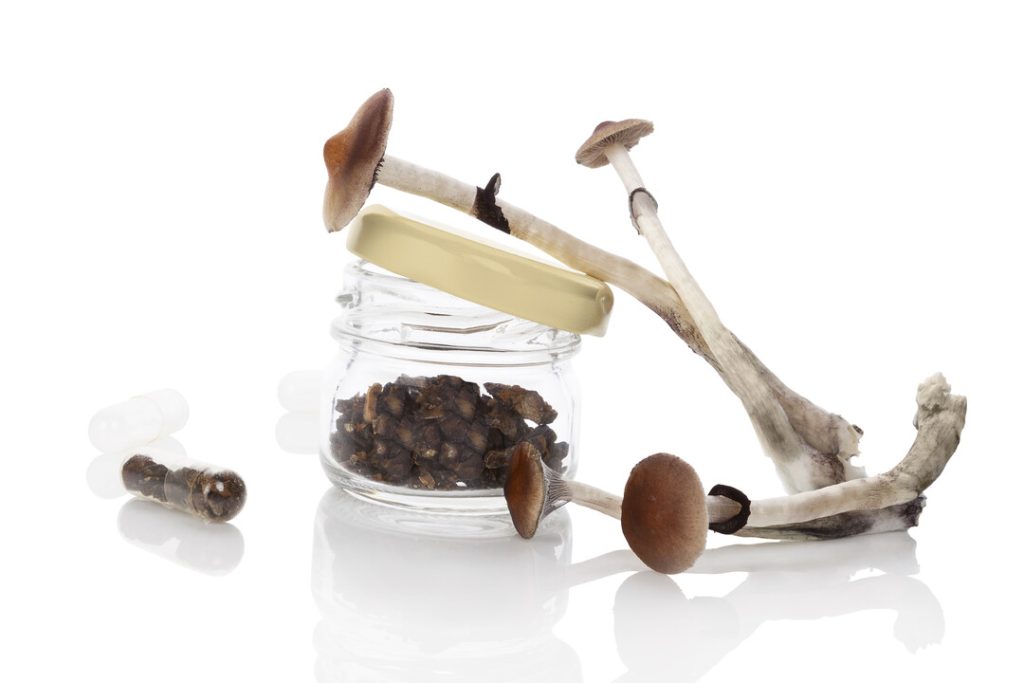 Mushroom dispensary